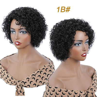 Hebe-Morichy Brazilian Curly Human Hair Wigs, No Lace Short Curly Haircuts