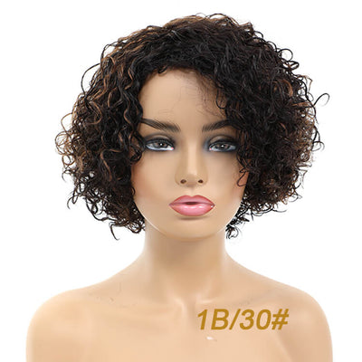 Hebe- Brazilian Curly Human Hair Dark Brown Blonde Wigs, No Lace Short Curly Black Brown Haircuts - Morichy