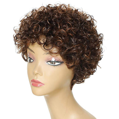 Short Curly Wigs for Black Women Afro Kinky Curly Human Hair Wigs for Middle Aged Black Women Dark Brown Mix Light Brown