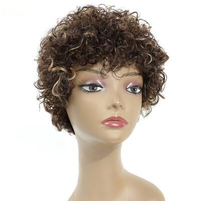 Short Curly Wigs for Black Women Afro Kinky Curly Human Hair Wigs for Middle Aged Black Women Chocolate Brown Mix Blonde