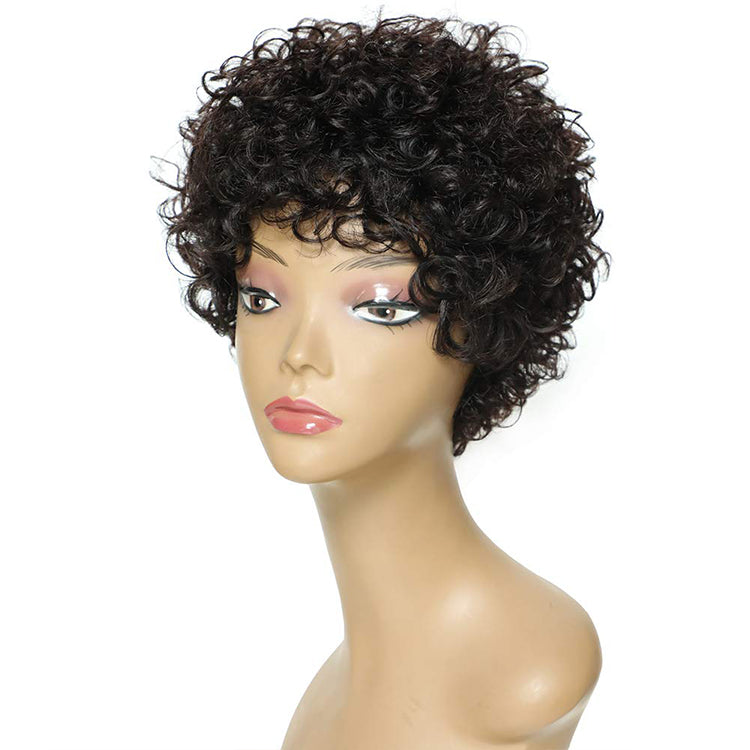 Short Curly Wigs for Black Women Human Hair Wigs Short Afro Kinky Curly Human Hair Wigs for Black and White Women Virgin Hair Wig Natural Black Color